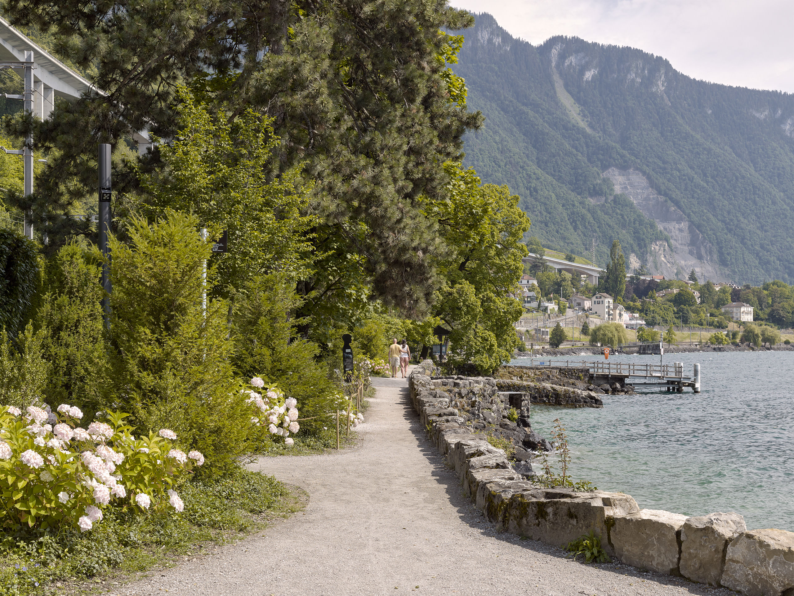 Ahp0013 alpa 103161 C